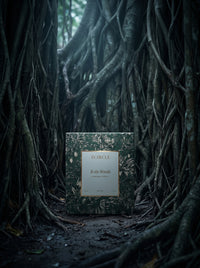 To the Woods
